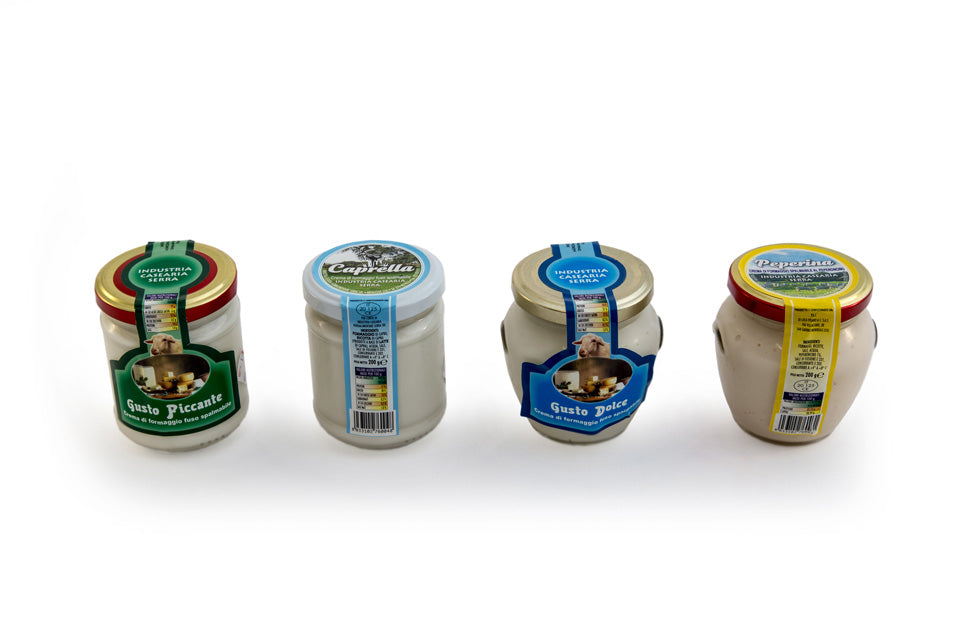 Formaggio spalmabile vasetto 200 g